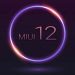 MIUI 12 
Google-   28     