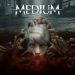 AMD   Radeon 21.2.1   The Medium